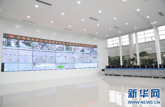 强信心·走进百企丨pa视讯药业：“数智化”助力中医药开启发展新篇章